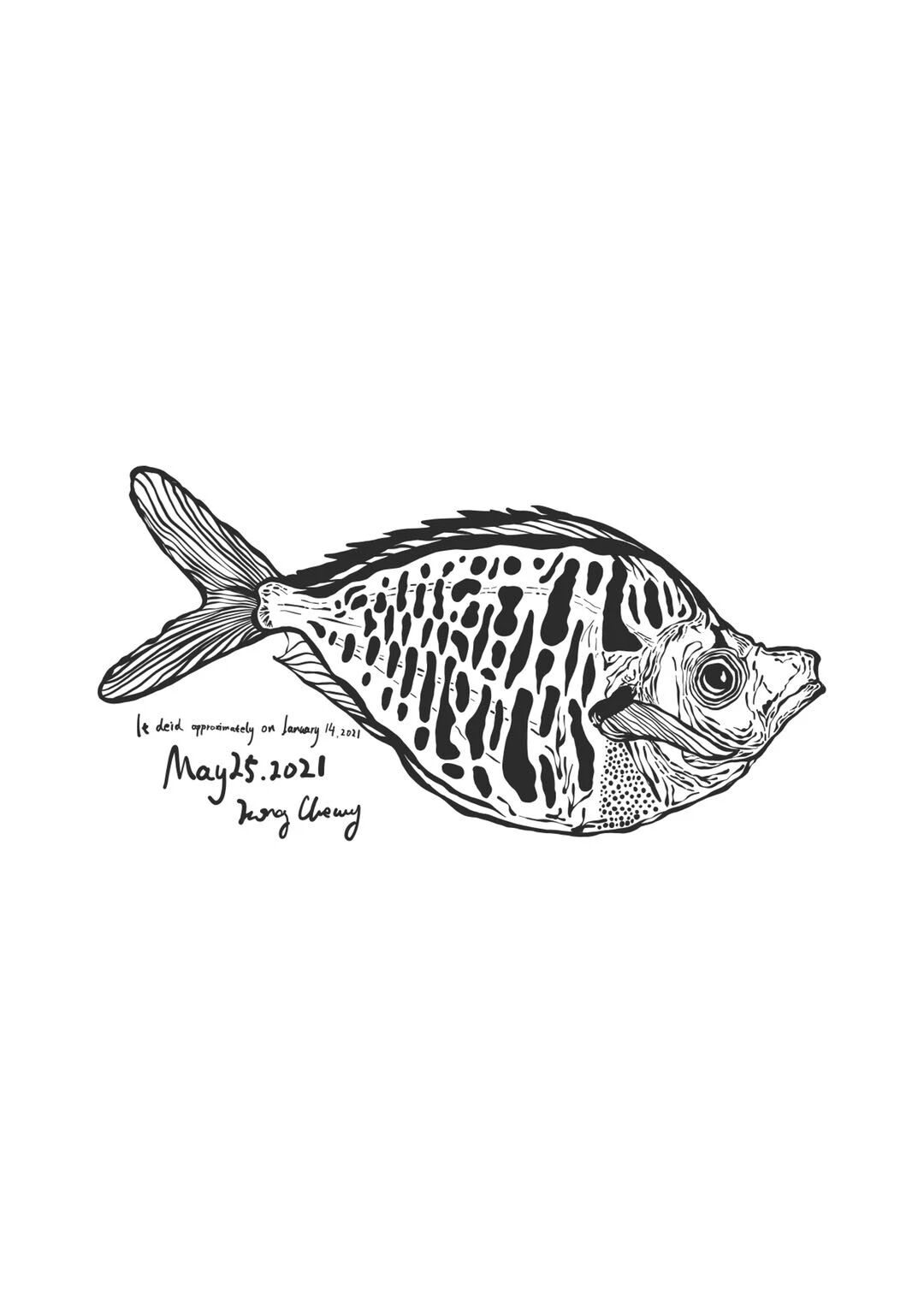 Digital illustration
